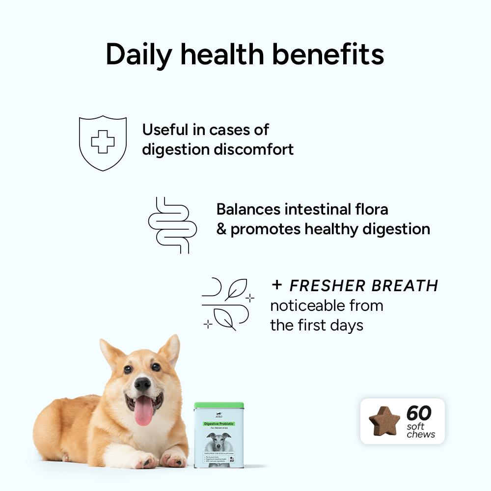 DIGESTIVE PROBIOTICS + Breath freshener