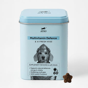 MULTIVITAMIN DEFENCE + Breath freshener
