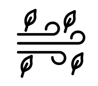 Decorative design with leaves and curved lines on a black background