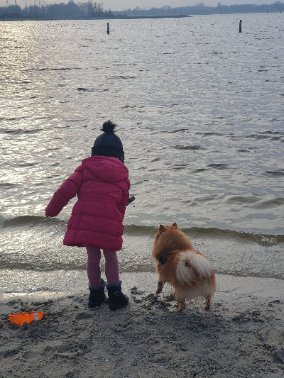 Child in a pink coat and black hat standing on a beach with a small dog, looking at the water.