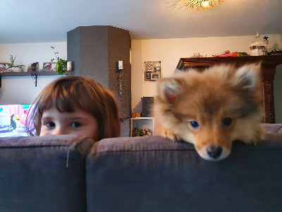Child and dog peeking over a couch in a living room setting